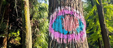 愛藝樹-森靈里的彩色世界