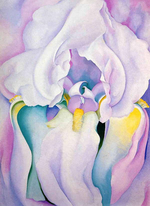 Light Iris, 1924 by Georgia O'Keeffe.jpg